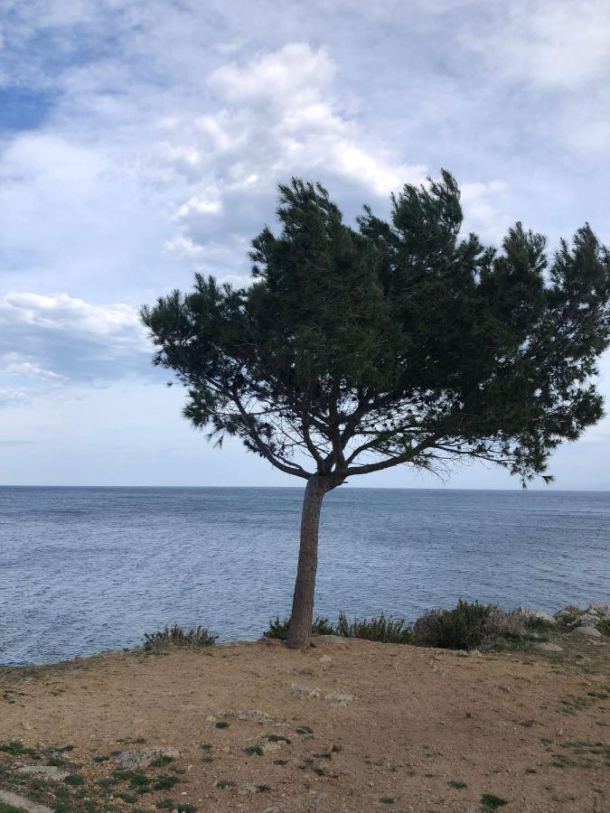 Casa Vacanze Da Maurizio Santa Flavia Zewnętrze zdjęcie